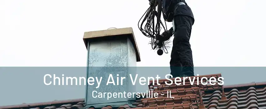 Chimney Air Vent Services Carpentersville - IL