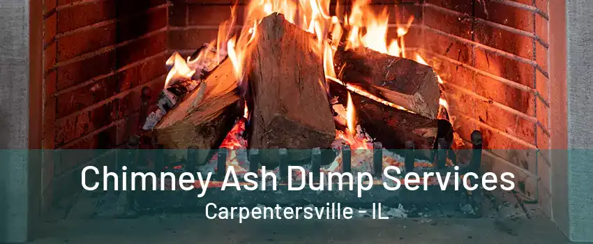 Chimney Ash Dump Services Carpentersville - IL