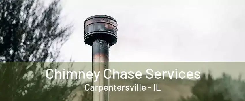 Chimney Chase Services Carpentersville - IL