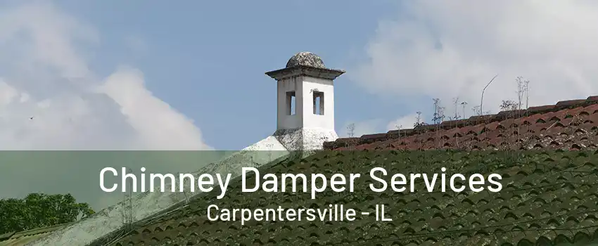 Chimney Damper Services Carpentersville - IL