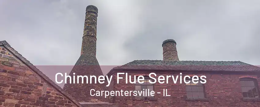 Chimney Flue Services Carpentersville - IL