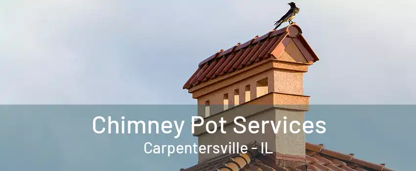 Chimney Pot Services Carpentersville - IL