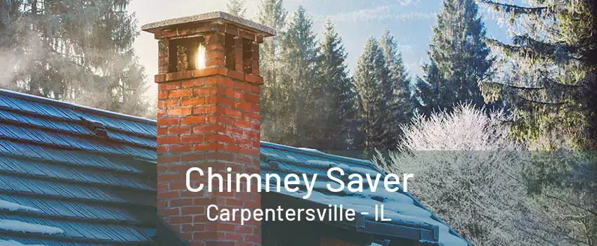 Chimney Saver Carpentersville - IL