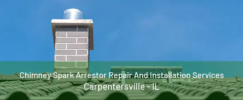 Chimney Spark Arrestor Repair And Installation Services Carpentersville - IL