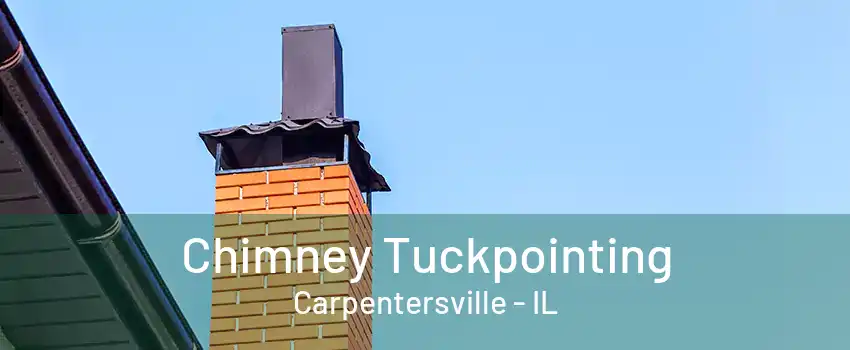 Chimney Tuckpointing Carpentersville - IL