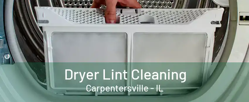 Dryer Lint Cleaning Carpentersville - IL