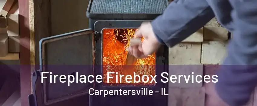 Fireplace Firebox Services Carpentersville - IL