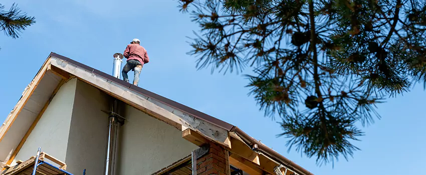 Birds Removal Contractors from Chimney in Carpentersville, IL