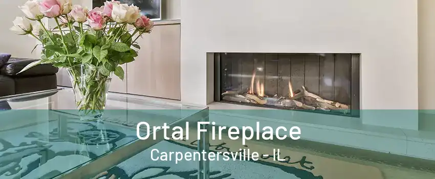 Ortal Fireplace Carpentersville - IL